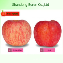 2015 Chinês Frutas Frescas FUJI Apple